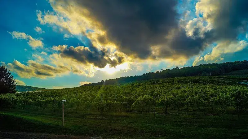 Adams County Winery in Orrtanna, PA