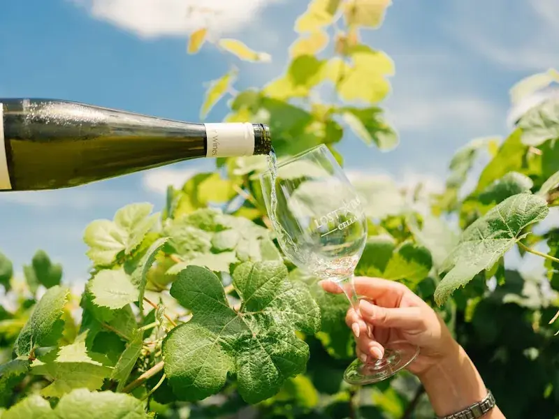 Lost Draw in Johnson City, TX