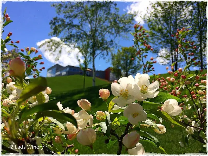 2 Lads Winery in Traverse City, MI