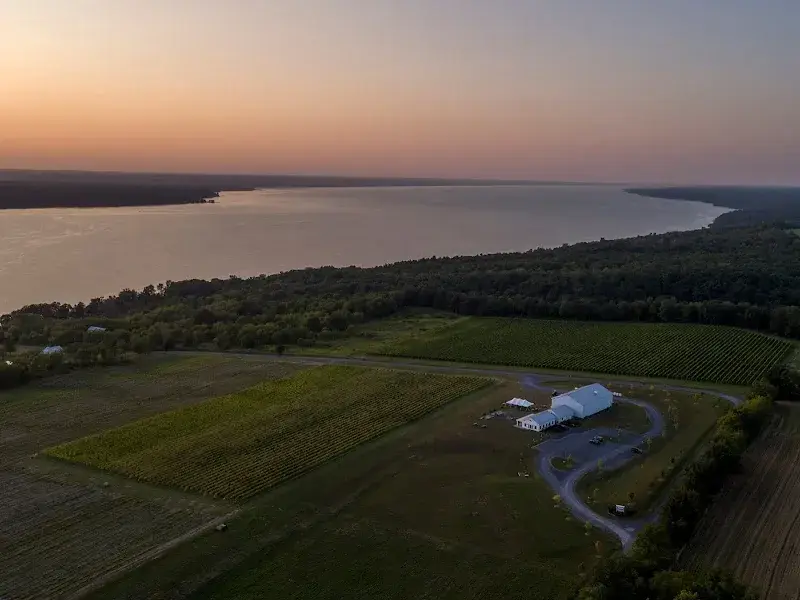 Boundary Breaks Vineyard in Lodi, NY