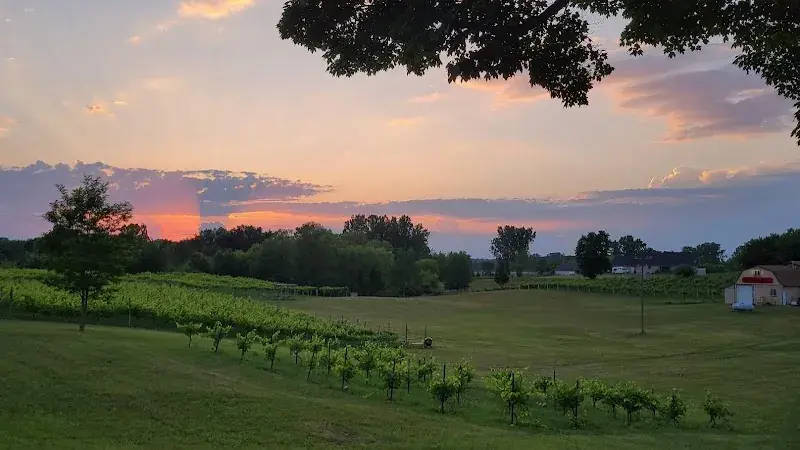 Cherry Creek Cellars in Brooklyn, MI