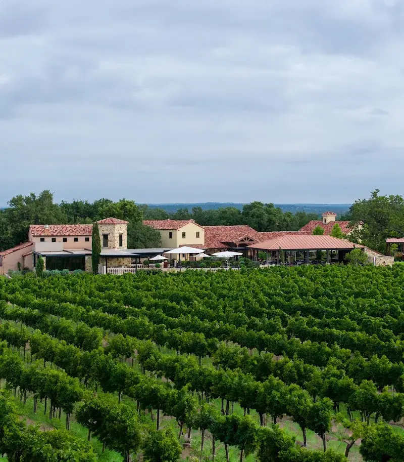 Grape Creek Vineyards in Fredericksburg, TX