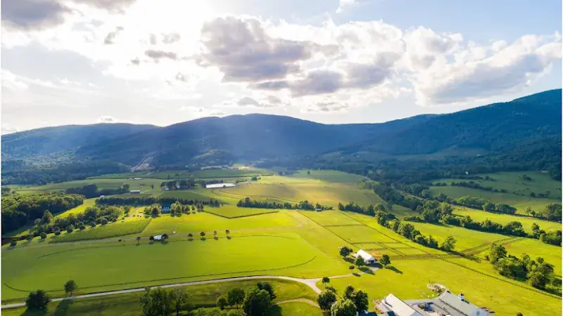 King Family Vineyards in Crozet, VA