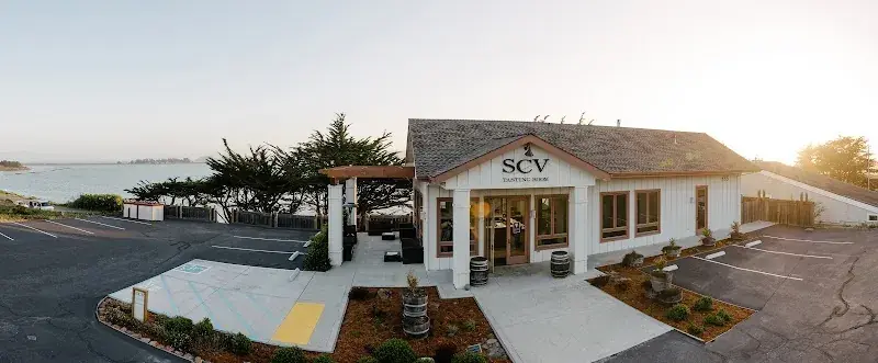 Sonoma Coast Vineyards in Bodega Bay, CA