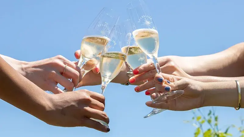 Sparkling Pointe Vineyards & Winery in Southold, NY